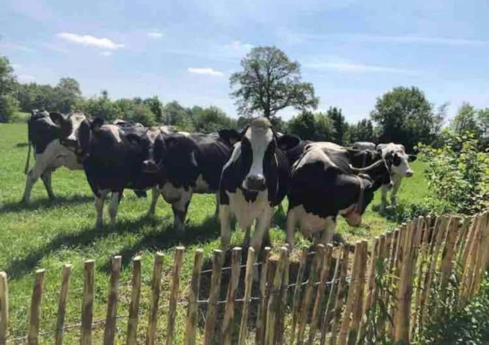 Statige Boerderijwoning Met Vrij Uitzicht En Tuin Villa Hoogzand Exterior photo